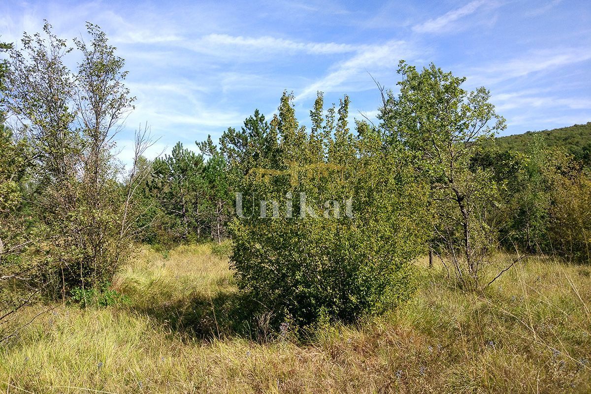 Ampio terreno ad uso ricettivo-turistico